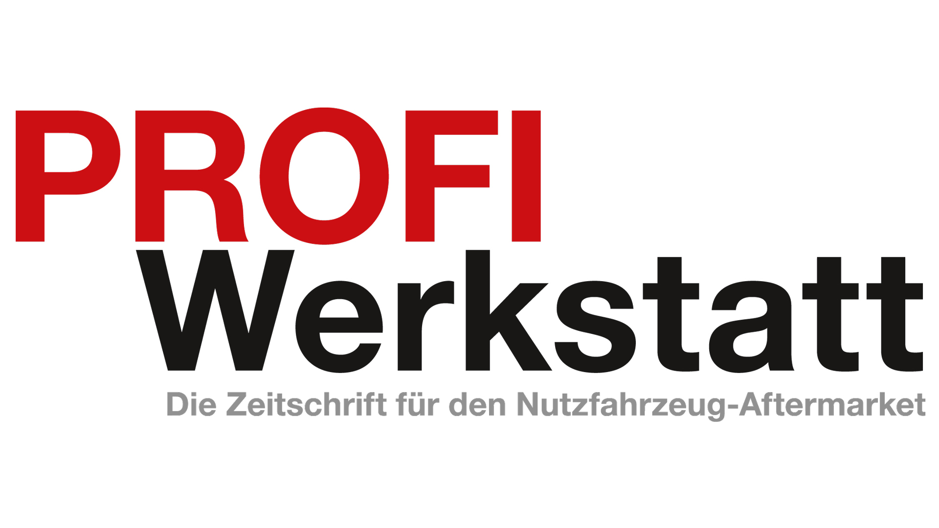 Profi Werkstatt Logo